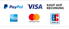 PayPal Zahlungsarten