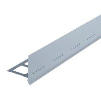BALKON-Kiesleiste Edelstahl gebürstet,100,0 mm,2,50 m